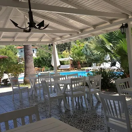 Selya Aparthotel 2*